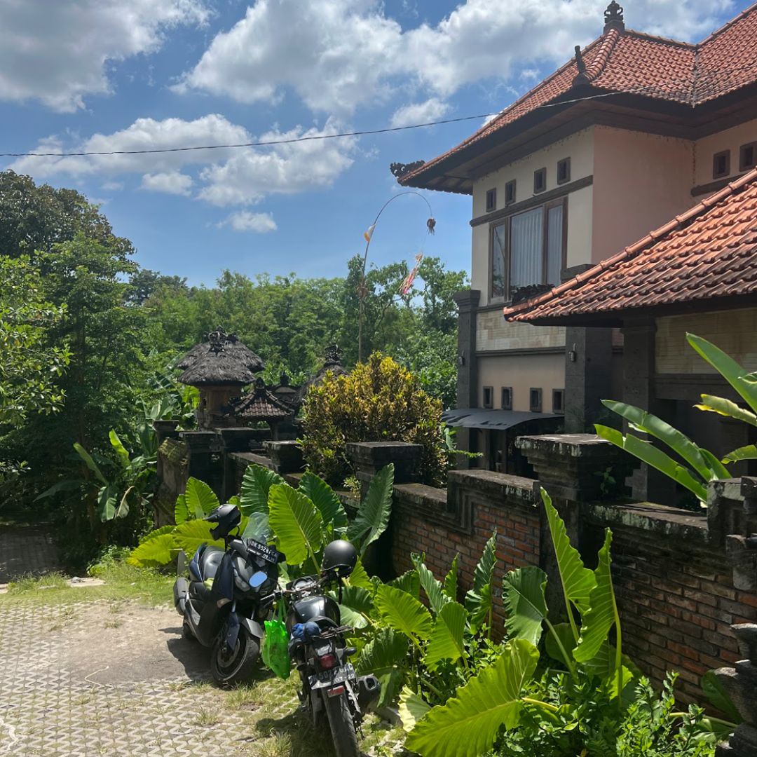villa dragonfly